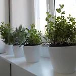 Διαμέρισμα Magenta Navona Design Ρώμη