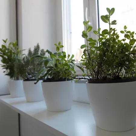 Apartament Navona Design Casa E Per Vacanze Rzym