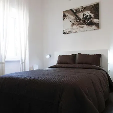 Magenta Navona Design